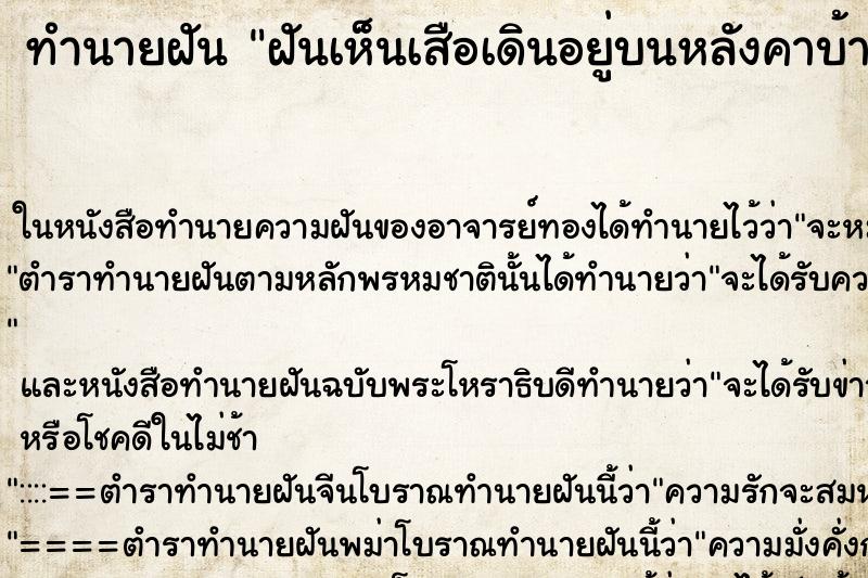 ทำนายฝันทำนายฝันฝันเห็นเสือเดินอยู่บนหลังคาบ้าน
